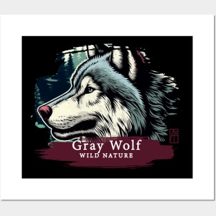 Gray Wolf - WILD NATURE - WOLF -1 Posters and Art